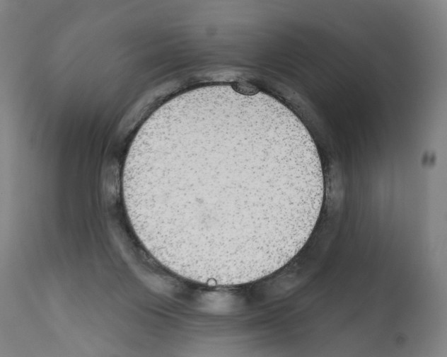 X0000112360119200909241135