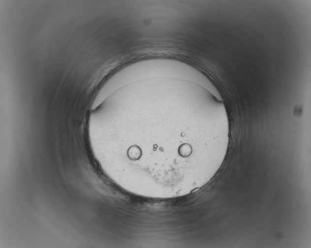 X0000112360120200909241135