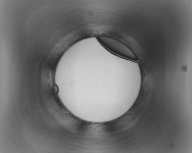 X0000112360121200909241135