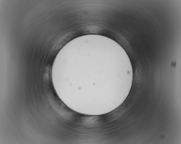 X0000112360122200909241135