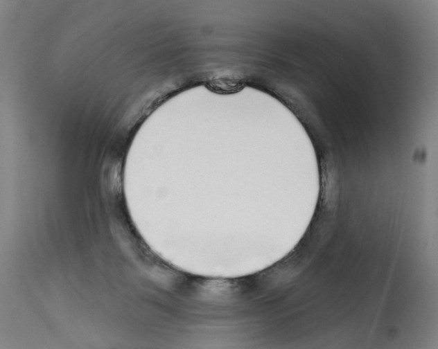 X0000112360123200909241135