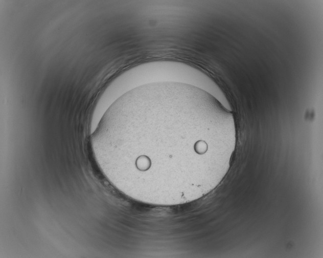 X0000112360124200909241135