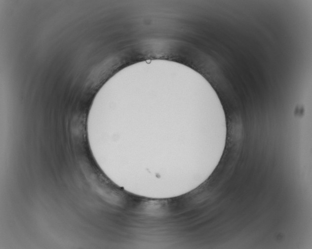 X0000112360126200909241135
