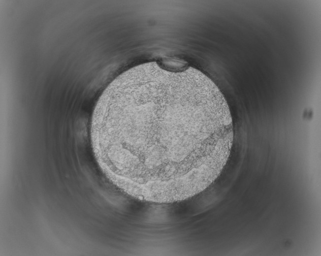 X0000112360127200909241135
