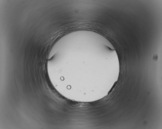 X0000112360128200909241135
