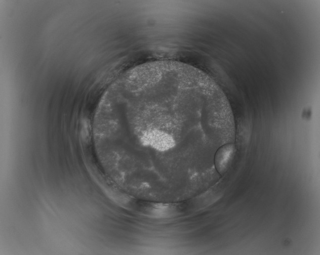 X0000112360130200909241135