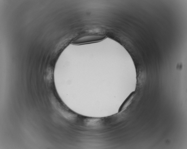 X0000112360132200909241135