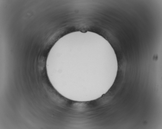 X0000112360133200909241135