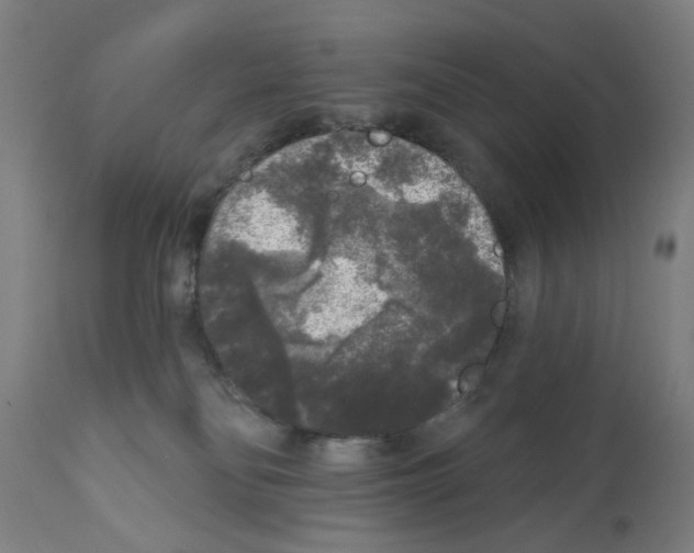 X0000112360134200909241135