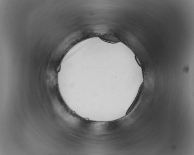 X0000112360136200909241135