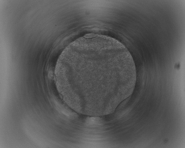 X0000112360137200909241135