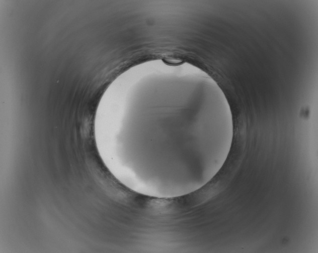 X0000112360139200909241135