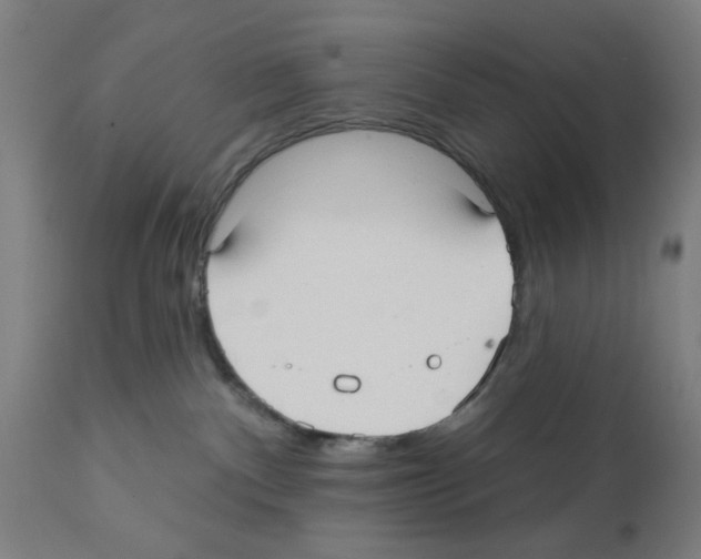 X0000112360140200909241135