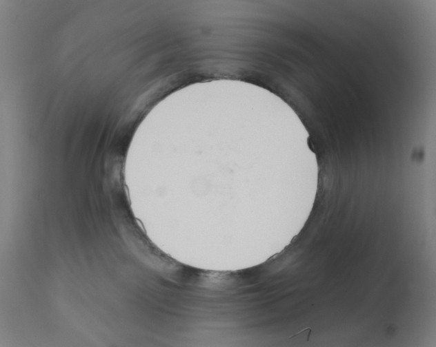 X0000112360141200909241135