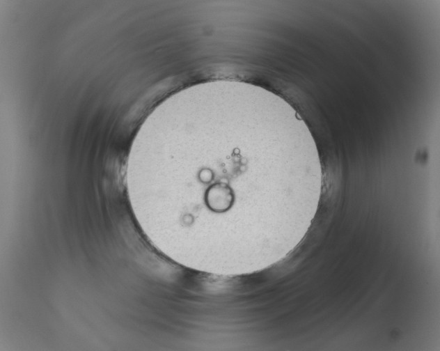 X0000112360142200909241135