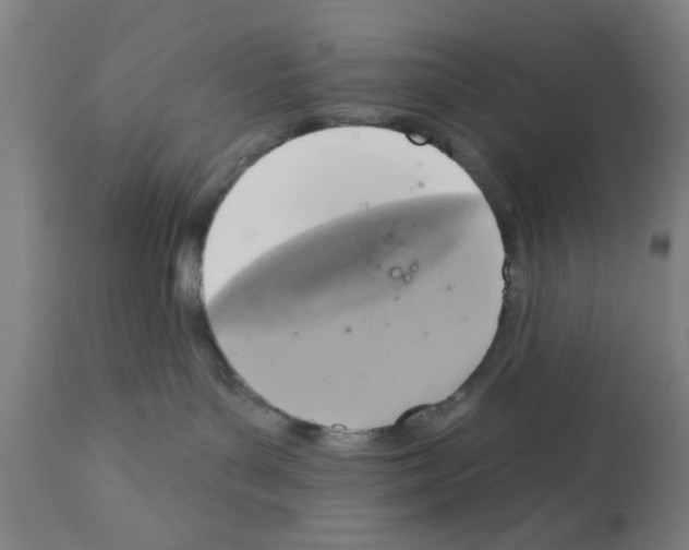 X0000112360143200909241135