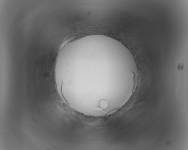 X0000112360144200909241135