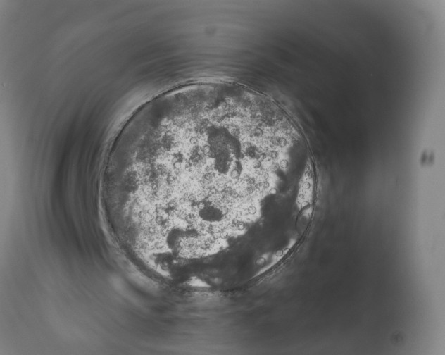 X0000112360145200909241134