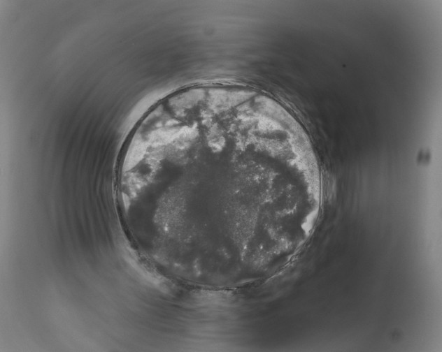 X0000112360147200909241134