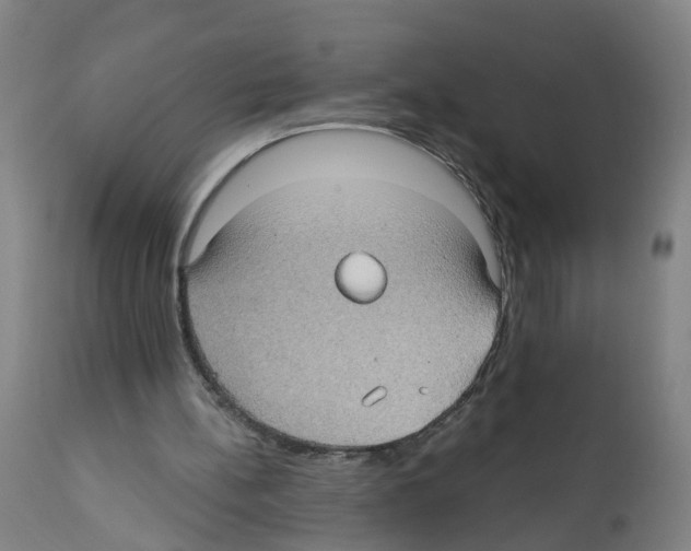 X0000112360148200909241134