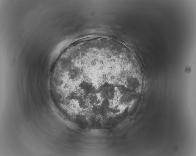 X0000112360149200909241134