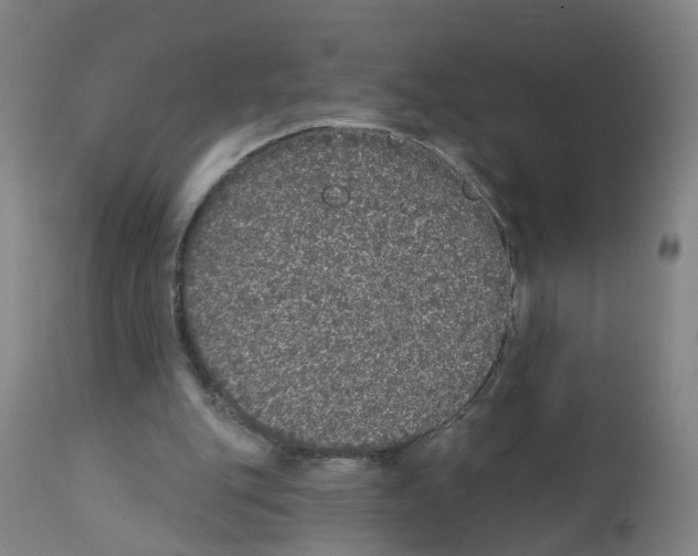 X0000112360151200909241134