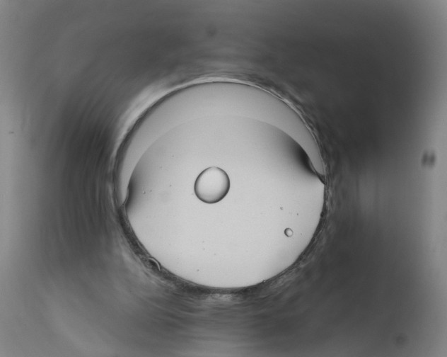 X0000112360152200909241134