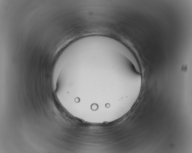 X0000112360154200909241134
