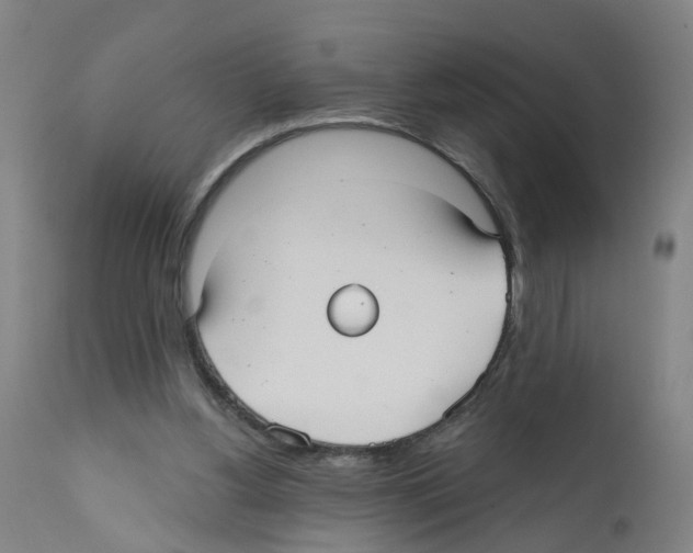 X0000112360156200909241134