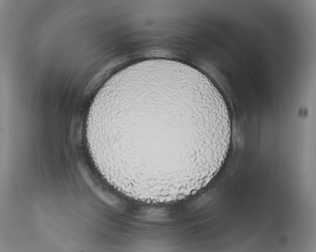 X0000112360157200909241134