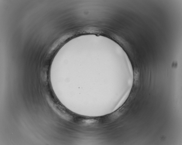 X0000112360158200909241134