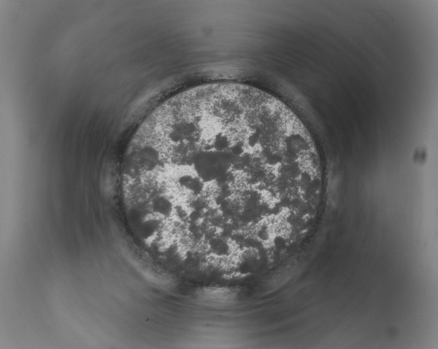X0000112360161200909241134