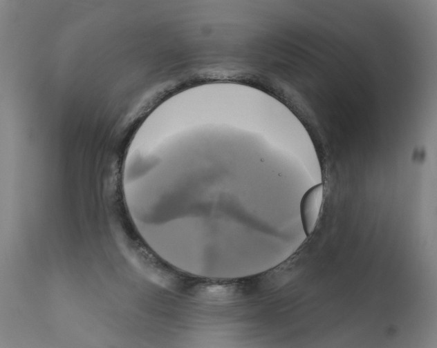 X0000112360163200909241134