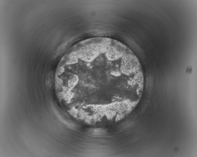 X0000112360165200909241134