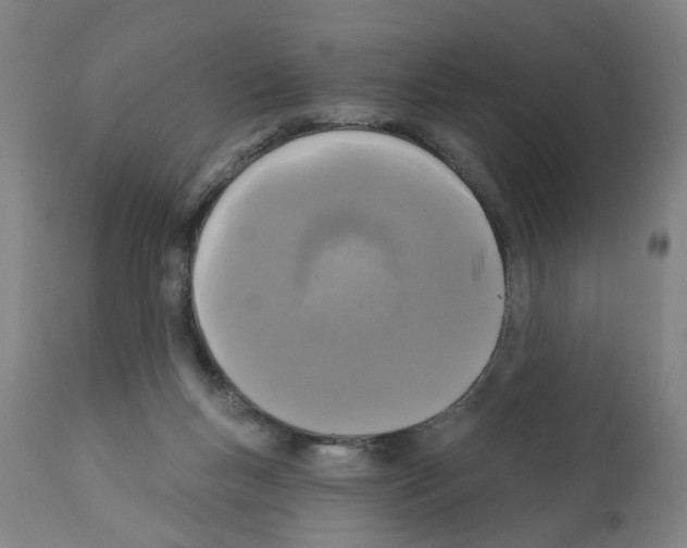 X0000112360167200909241134