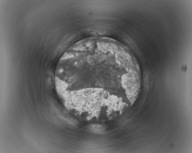 X0000112360169200909241134