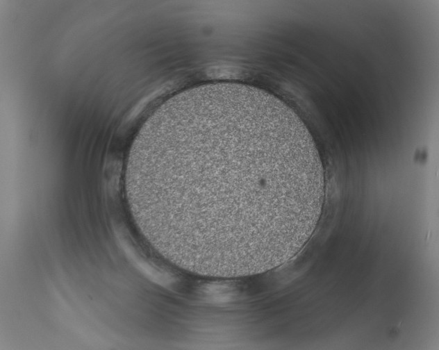 X0000112360171200909241134