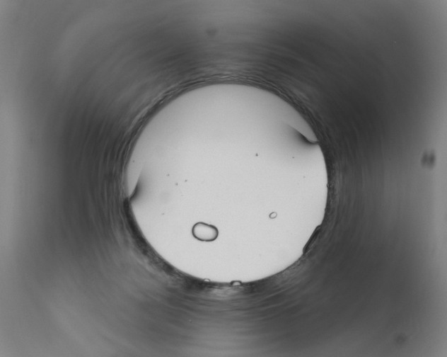 X0000112360172200909241134