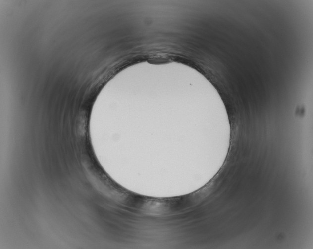 X0000112360174200909241134