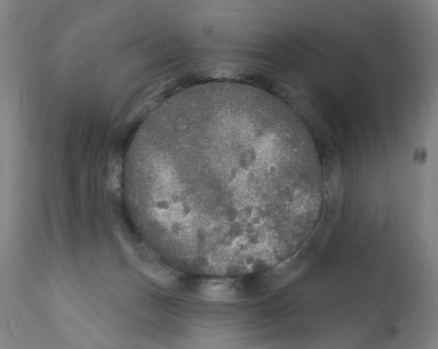 X0000112360175200909241134
