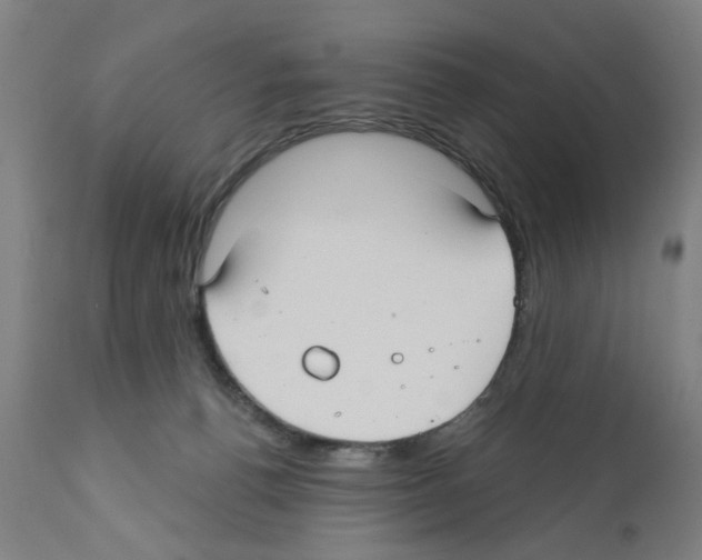 X0000112360176200909241134