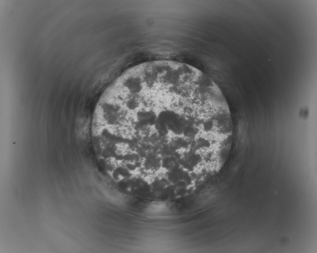 X0000112360177200909241134