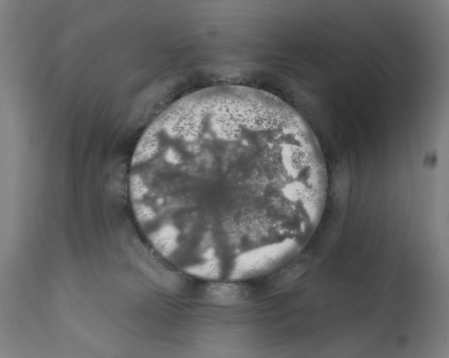 X0000112360181200909241134