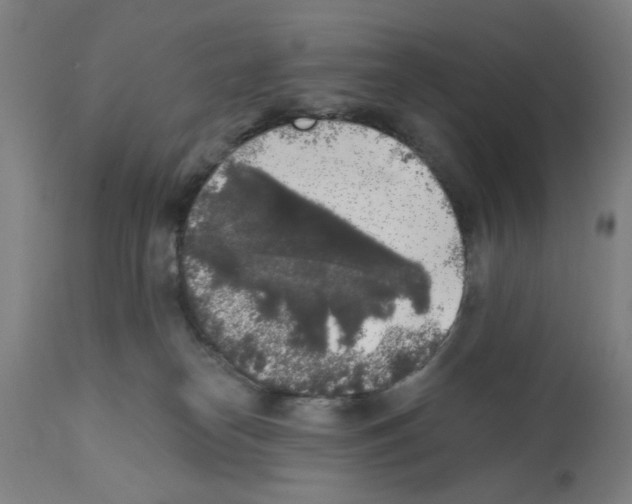 X0000112360182200909241134
