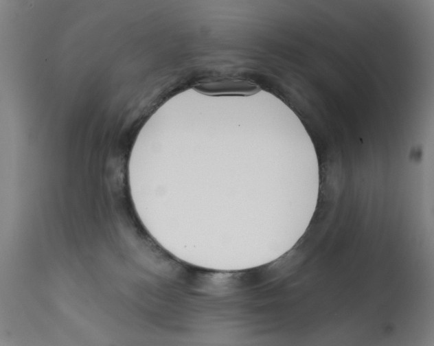X0000112360184200909241135
