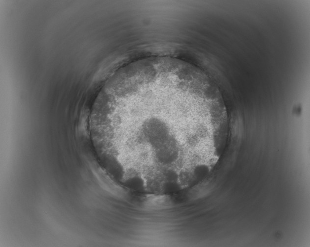 X0000112360185200909241135