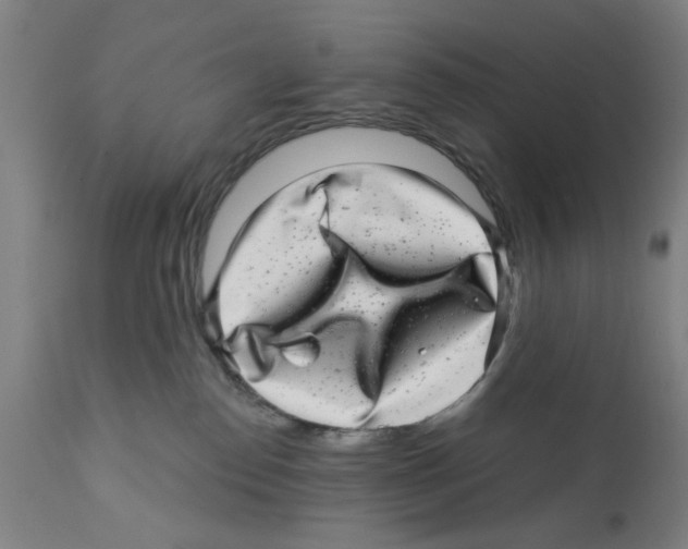 X0000112360186200909241135