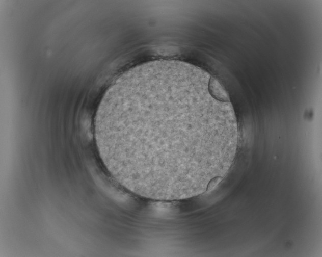 X0000112360187200909241135