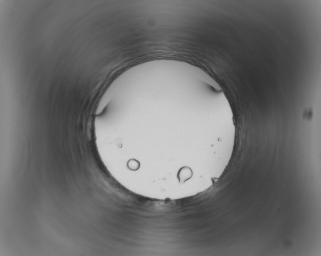 X0000112360188200909241135