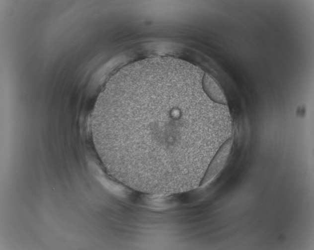 X0000112360191200909241135